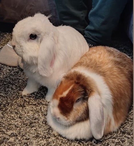 Krissy und Schorschi