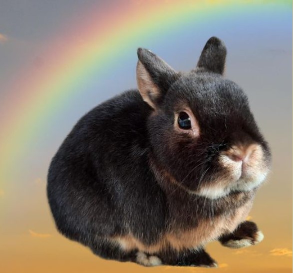 In Memoriam: Benny