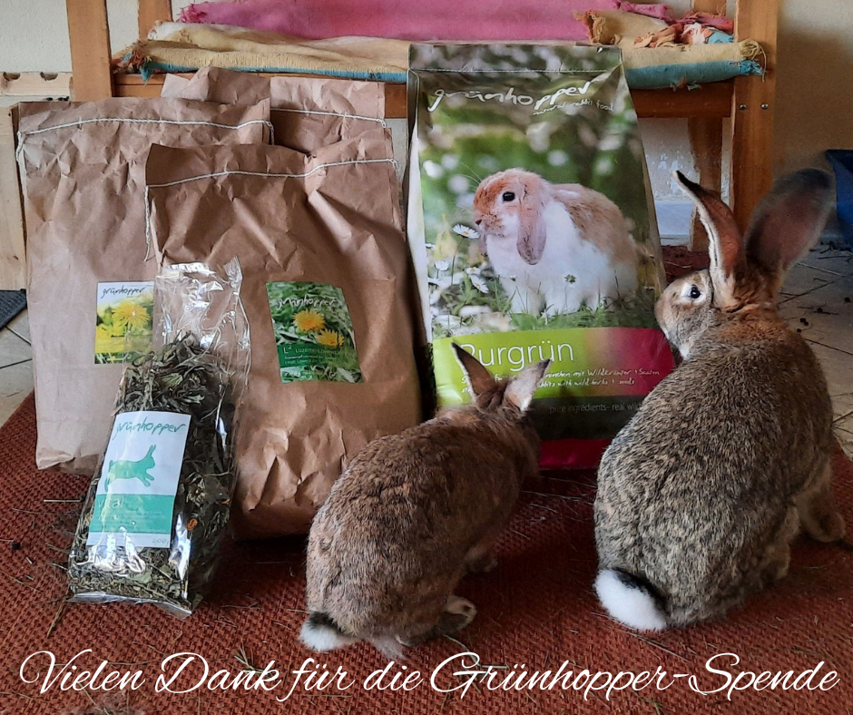 Grünhopper Spende