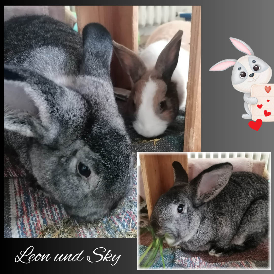Leon und Sky