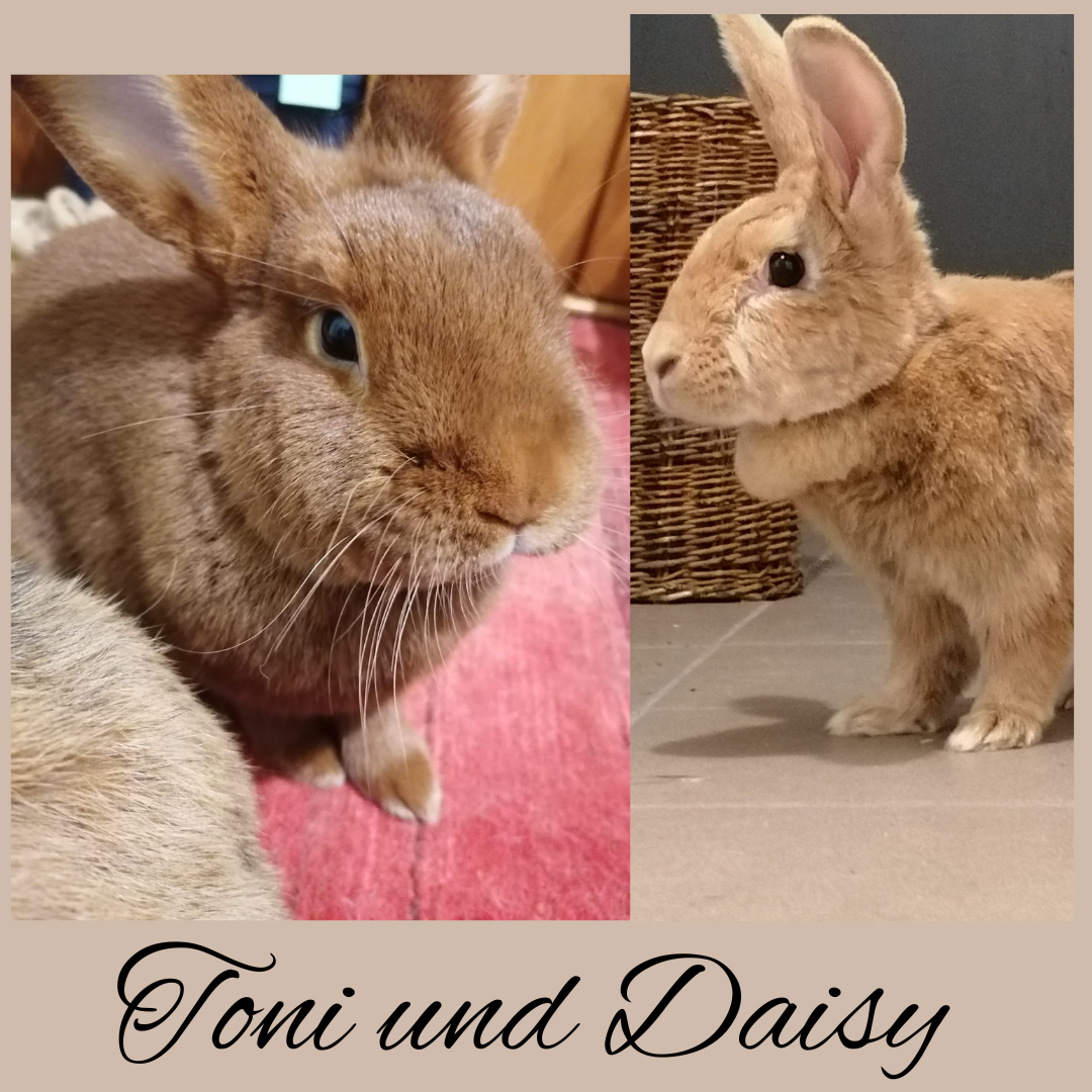 Toni und Daisy