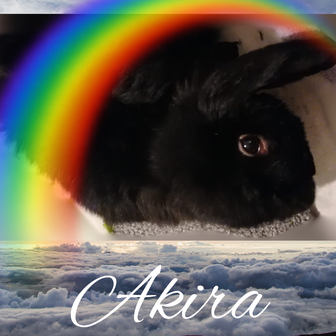 In Memoriam: Akira