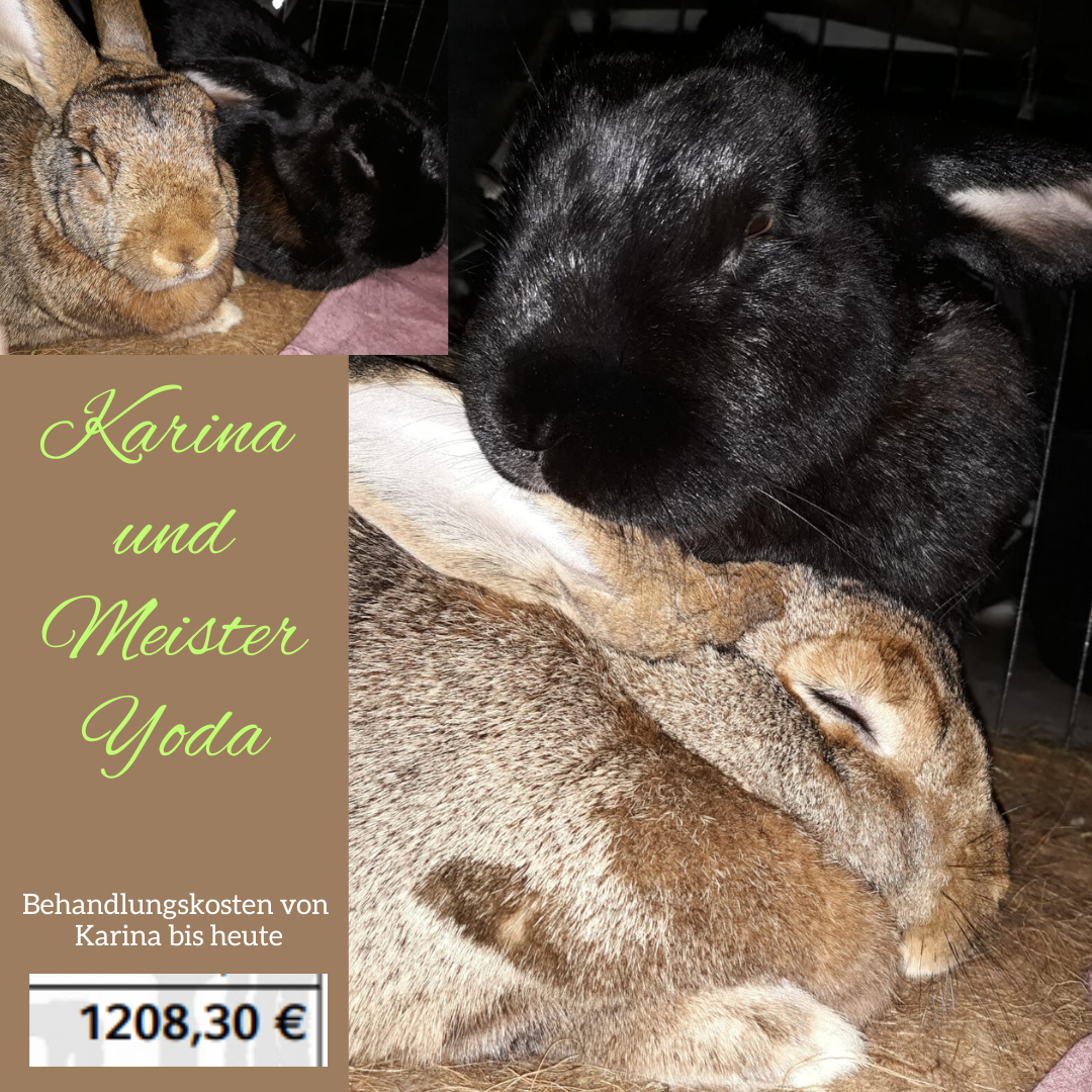 Karina Update