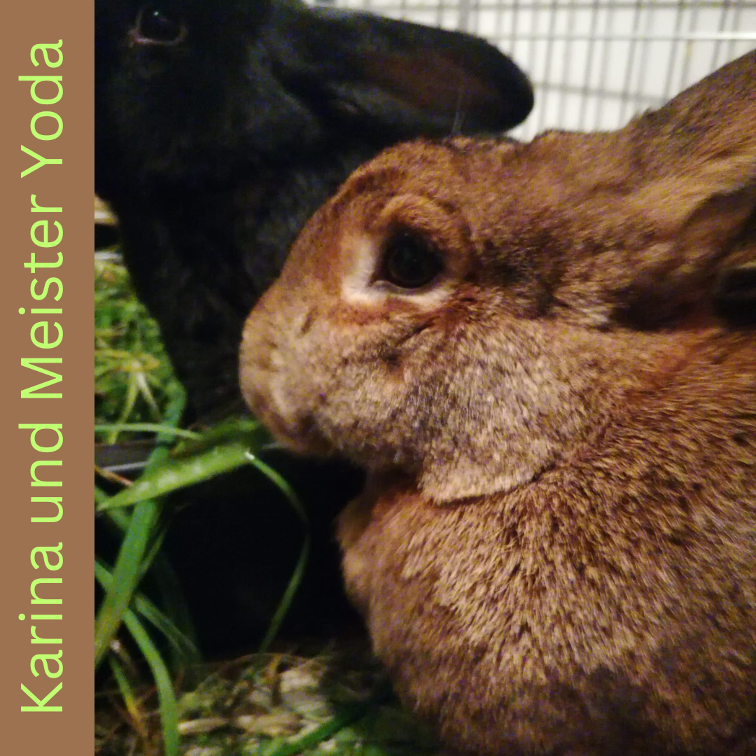 Karina und Meister Yoda