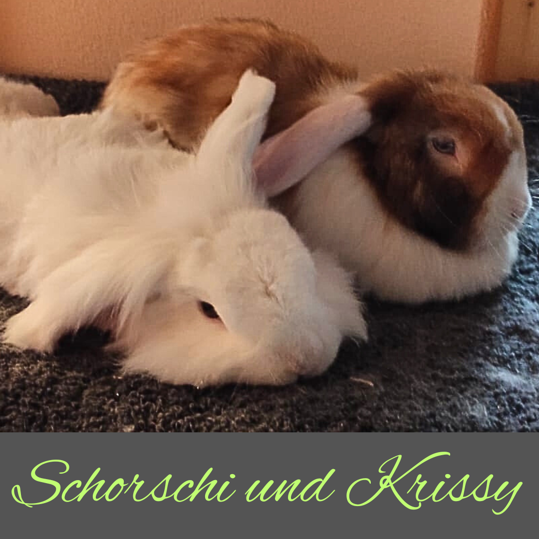 Schorschi und Krissy