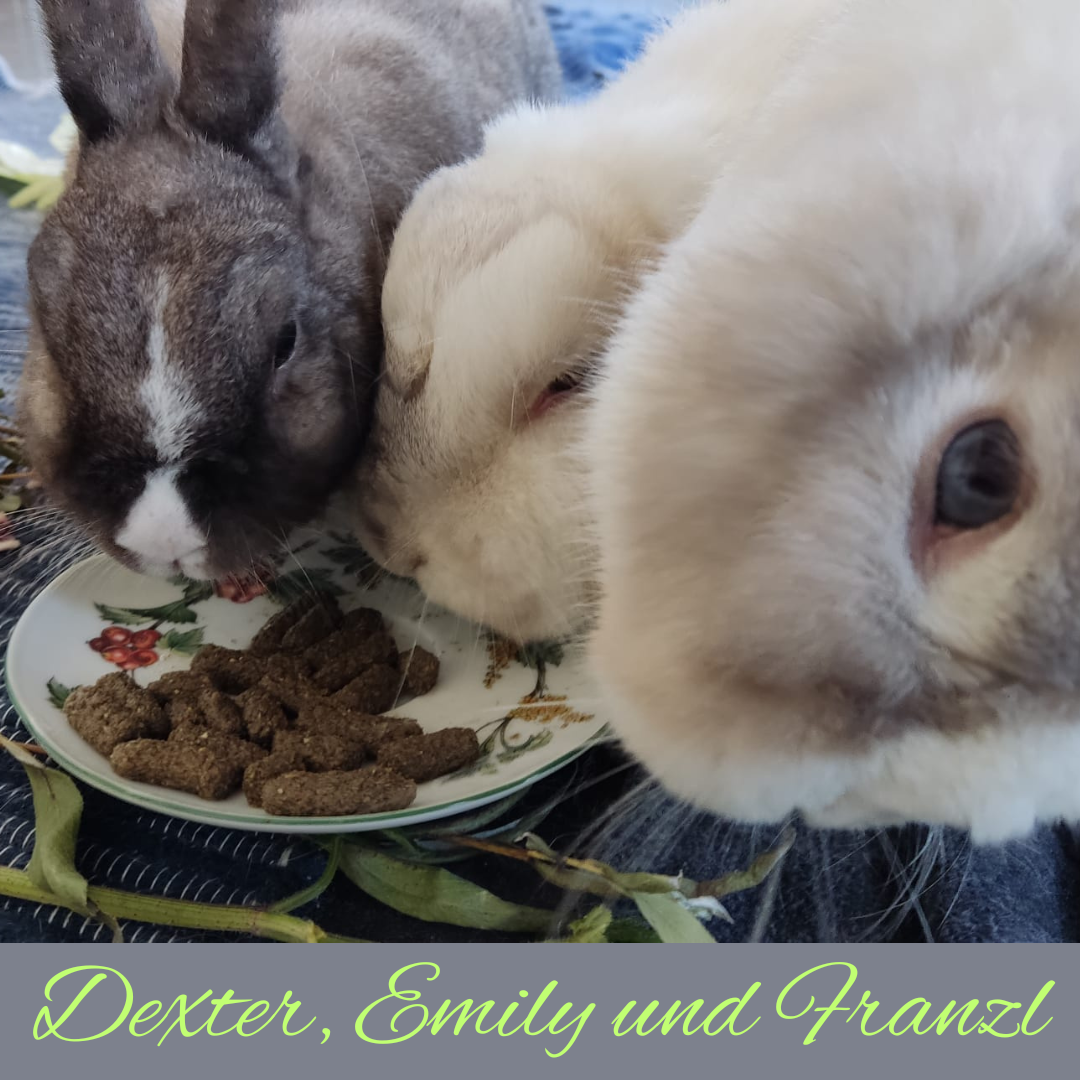 Dexter, Emily und Franzl