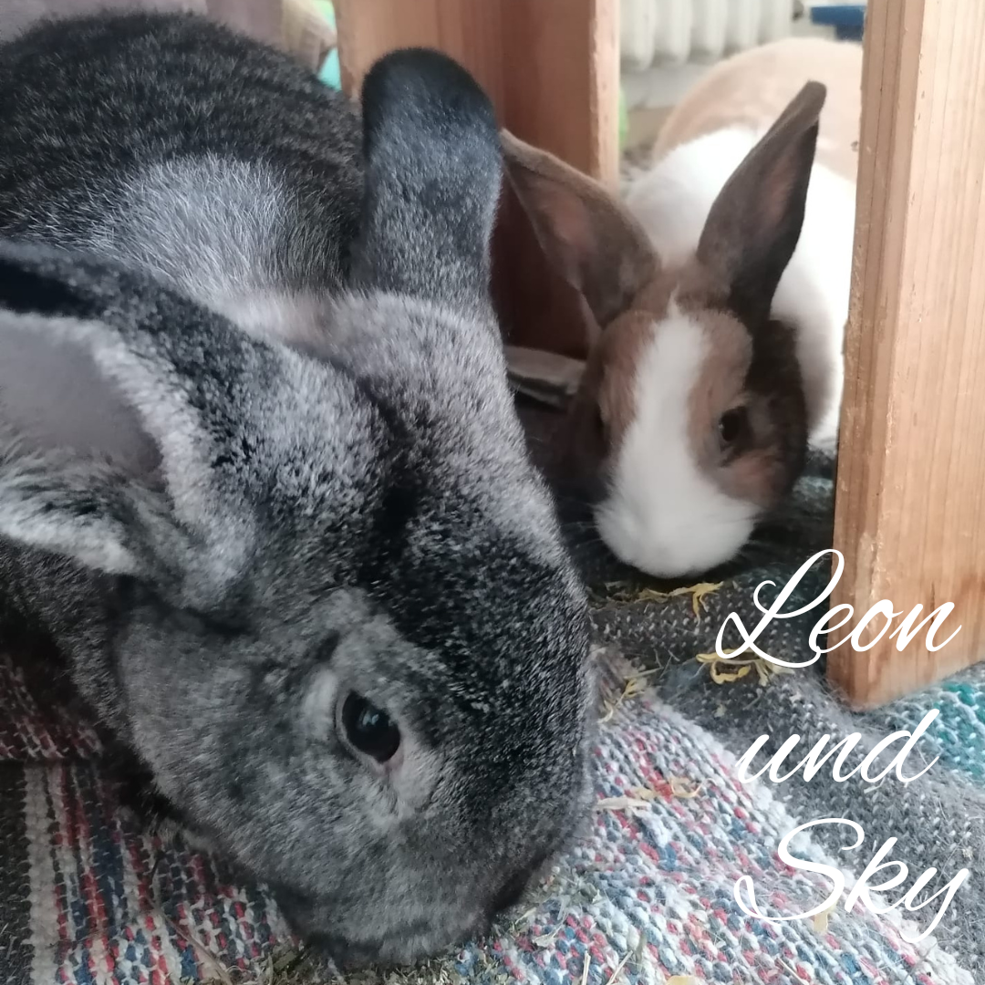 Leon und Sky