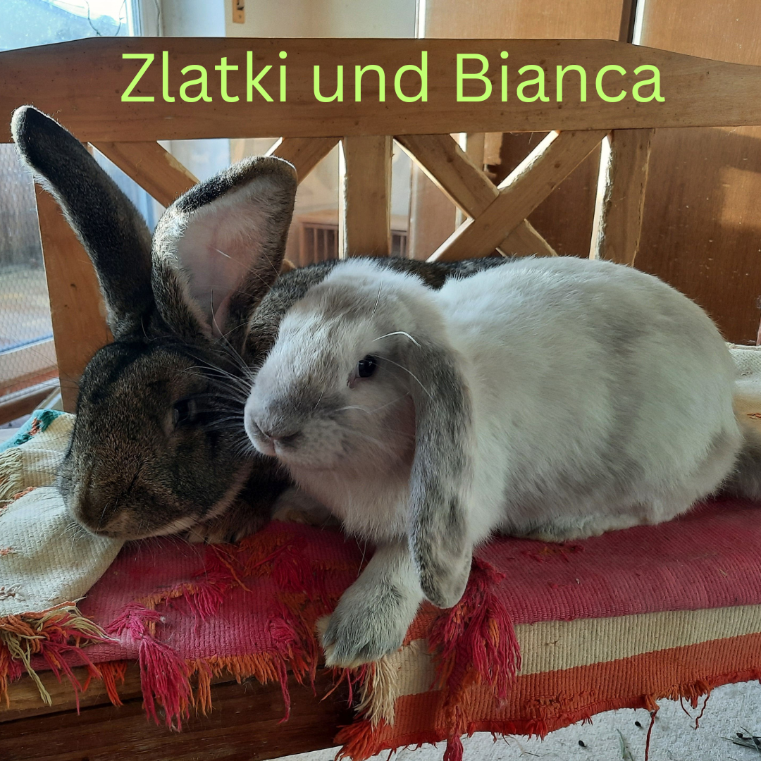 Bianca und ihre Freunde