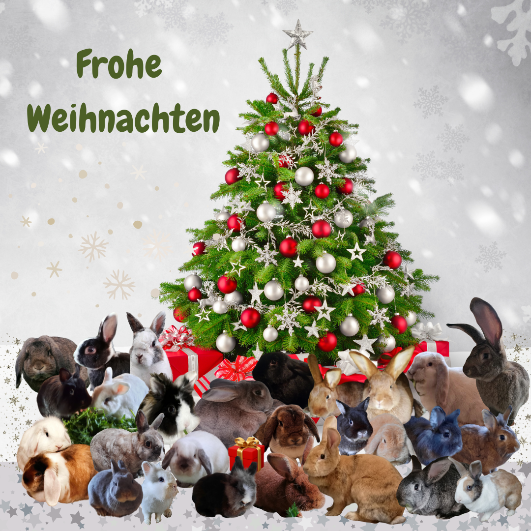 Weihnachtswünsche