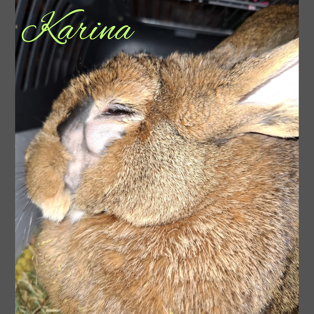 Karina OP