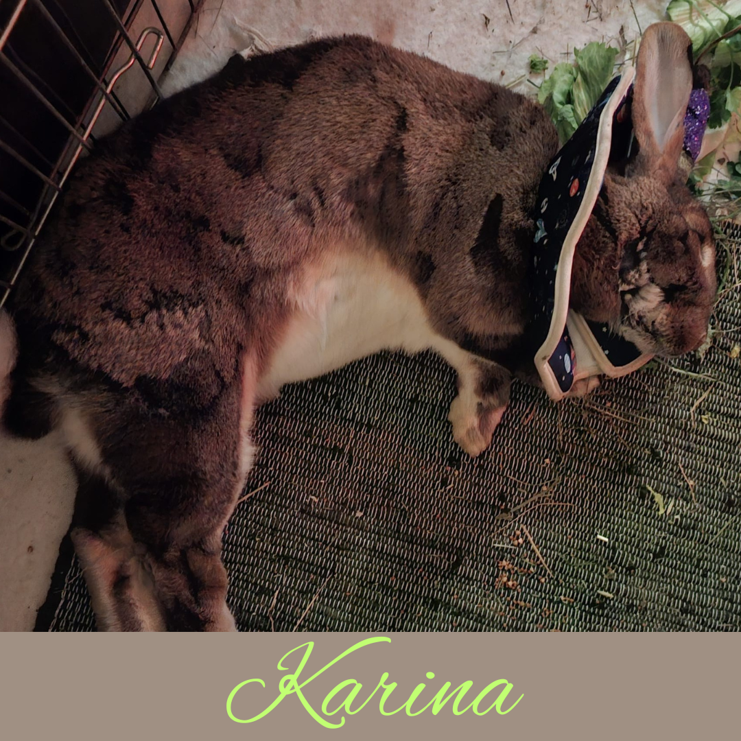 Karina Update