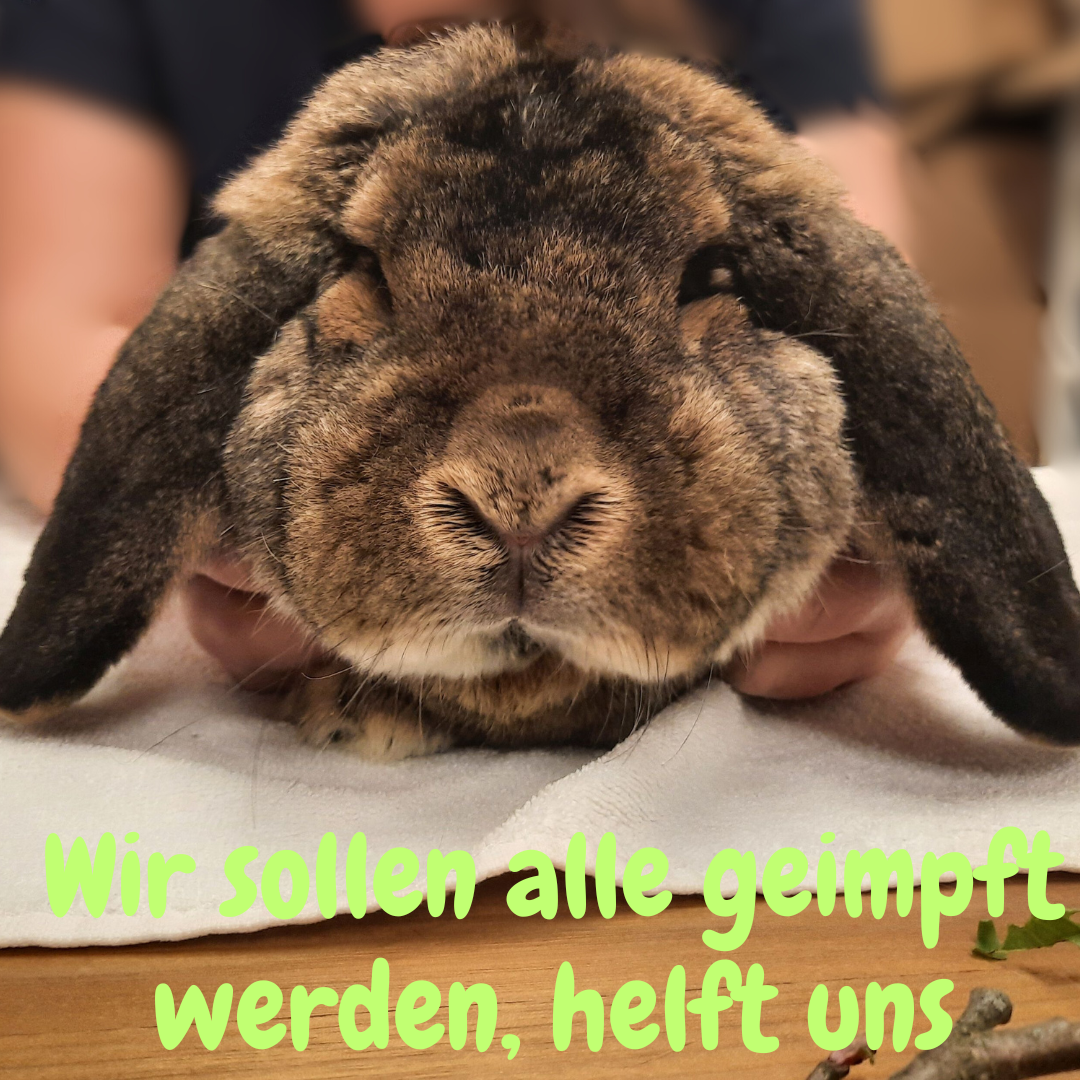 Es wird geimpft