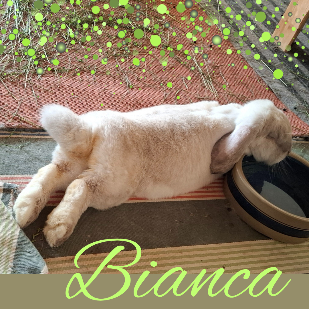 Bianca ist warm