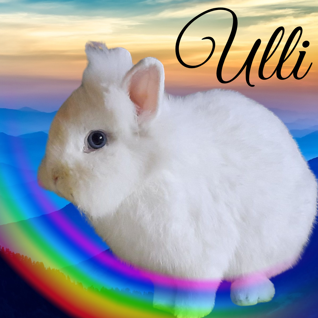 Verstorben: Ulli