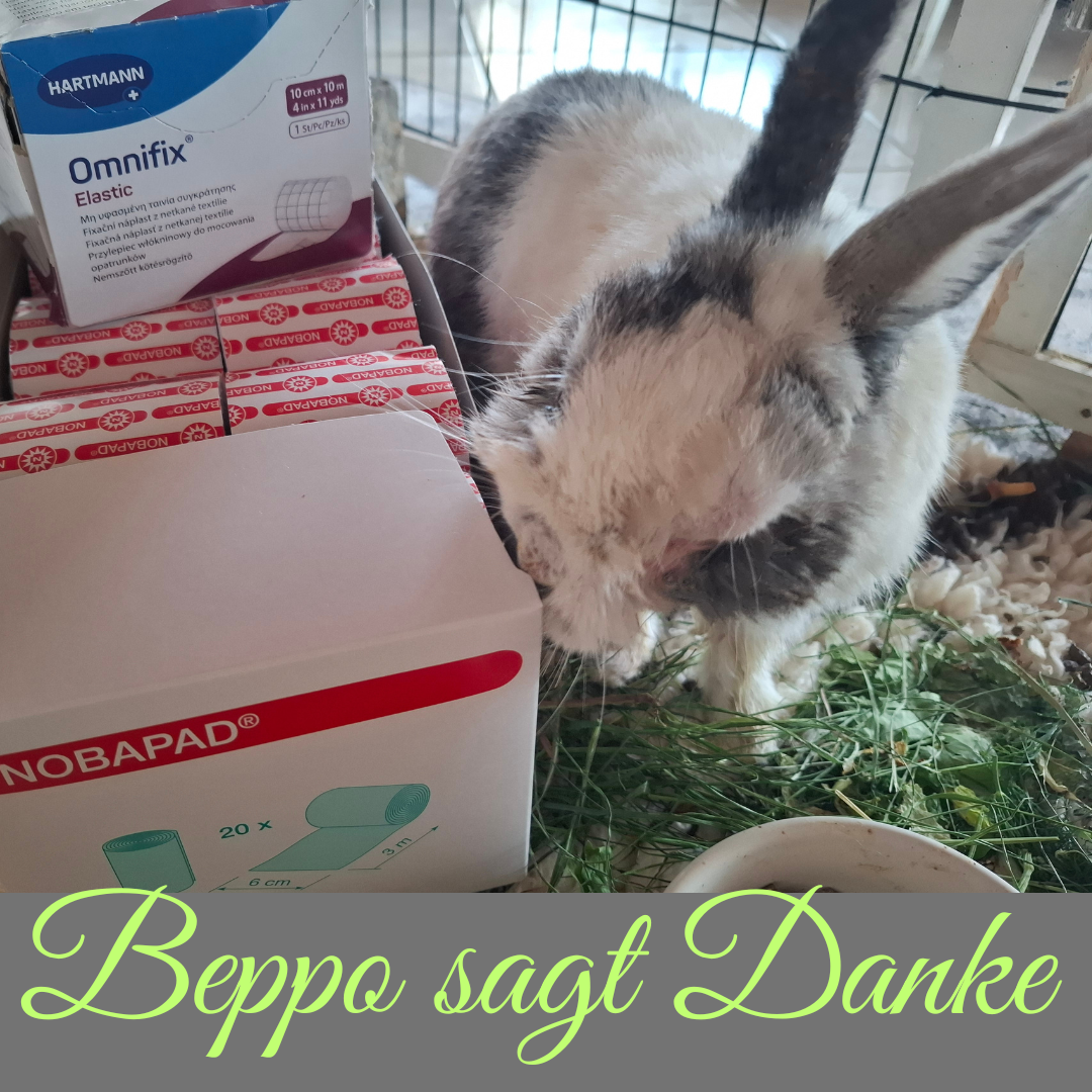 Beppo sagt Danke