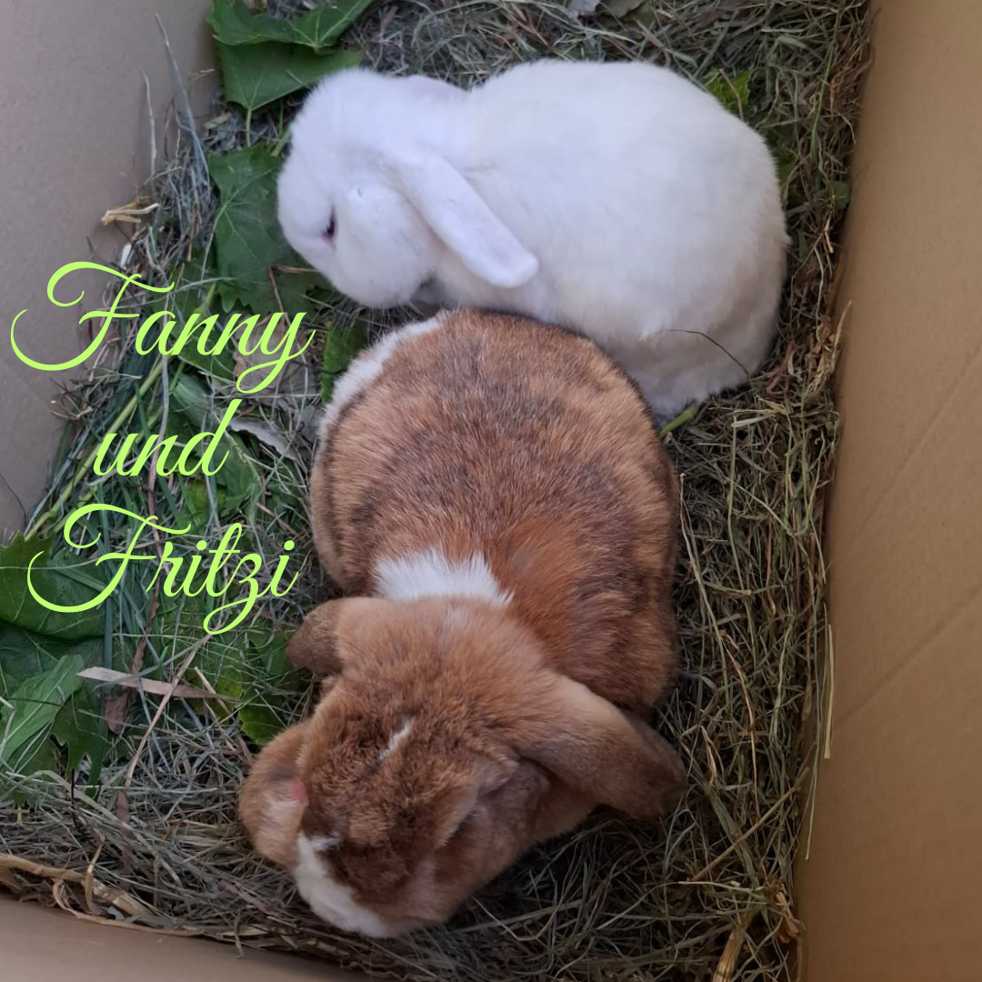 Fritzi und Fanny