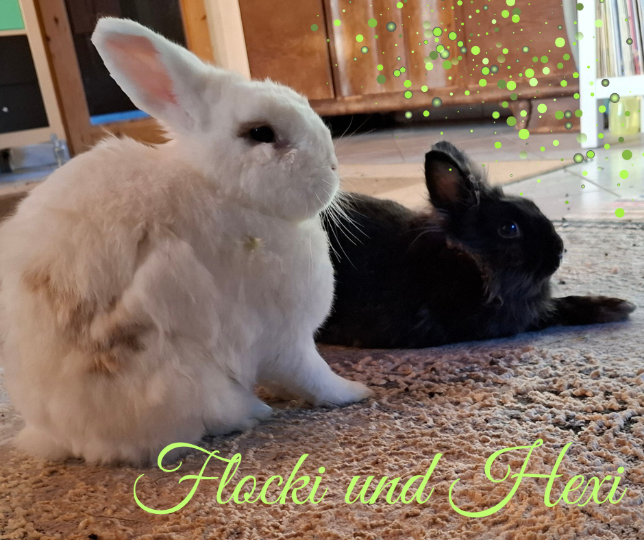 Hexi und Flocki