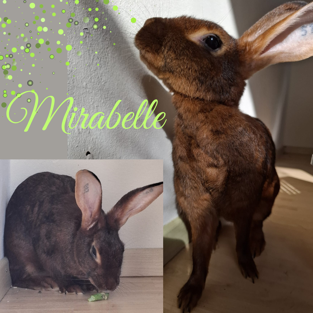 Update Mirabelle
