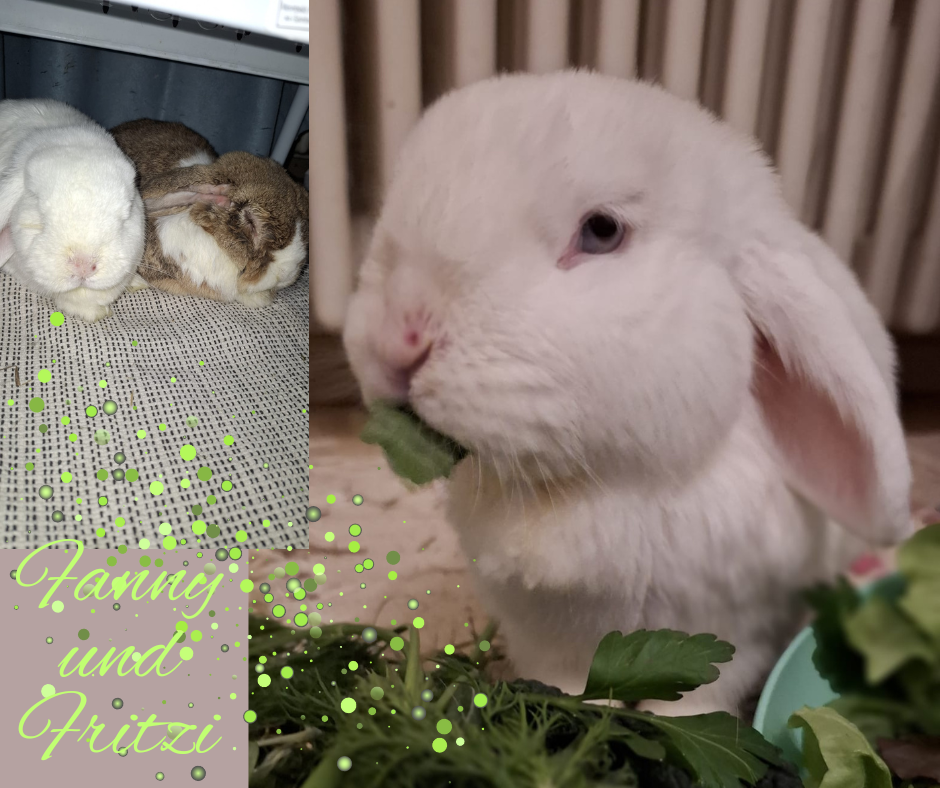 Fanny und Fritzi Update