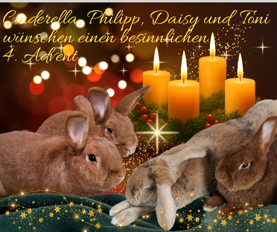 Besinnlichen 4. Advent