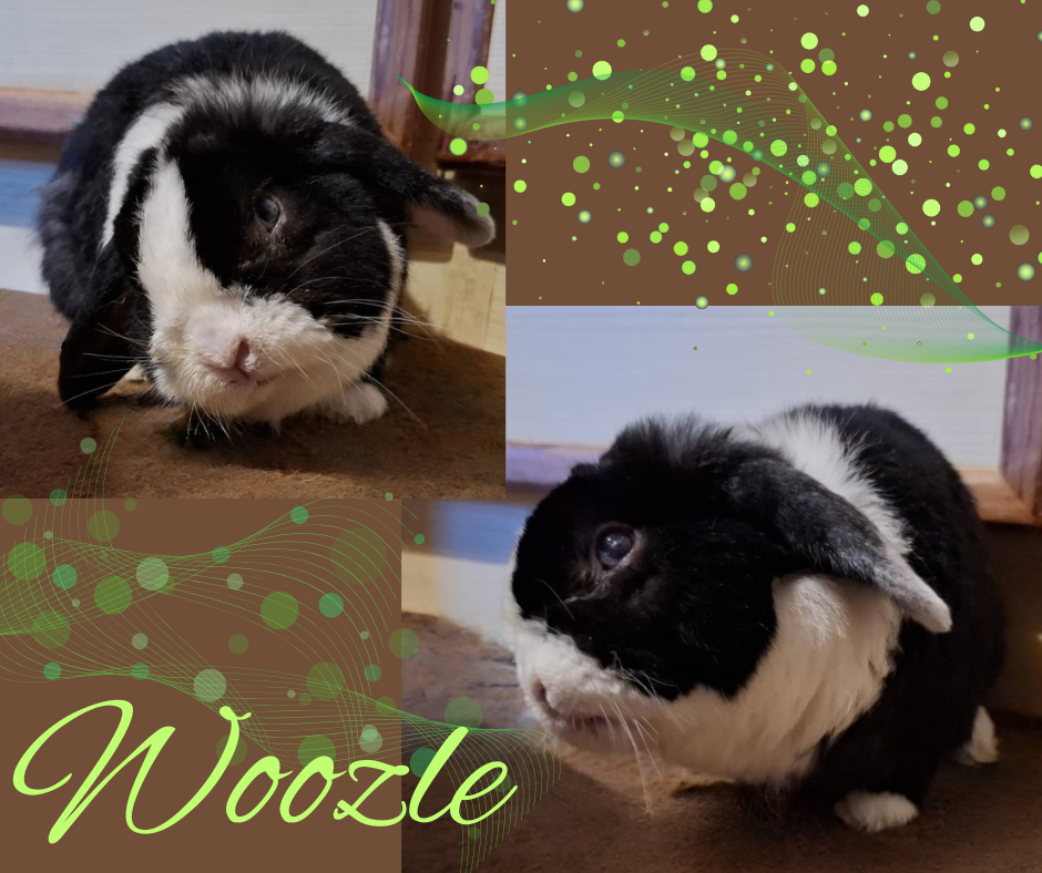 Woozle geht’s gut