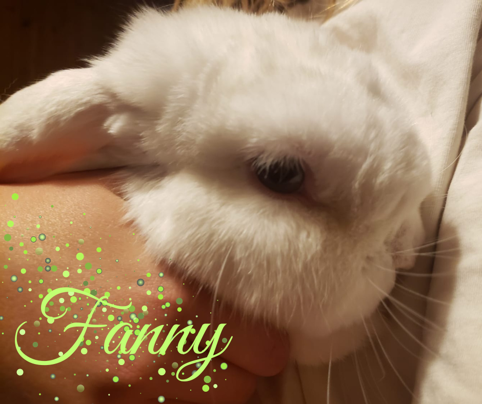 Update: Fanny