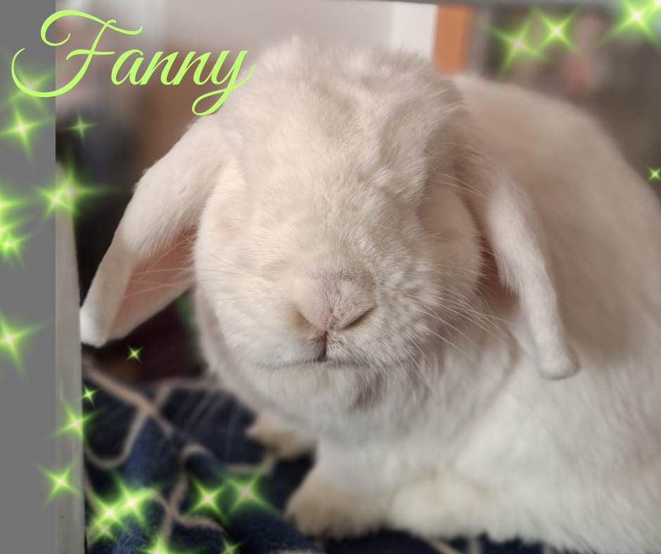 Update: Fanny – alles gut