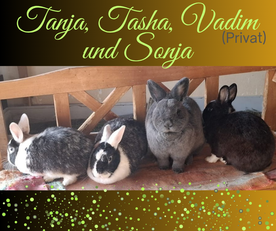 Tanja, Tasha und Sonja