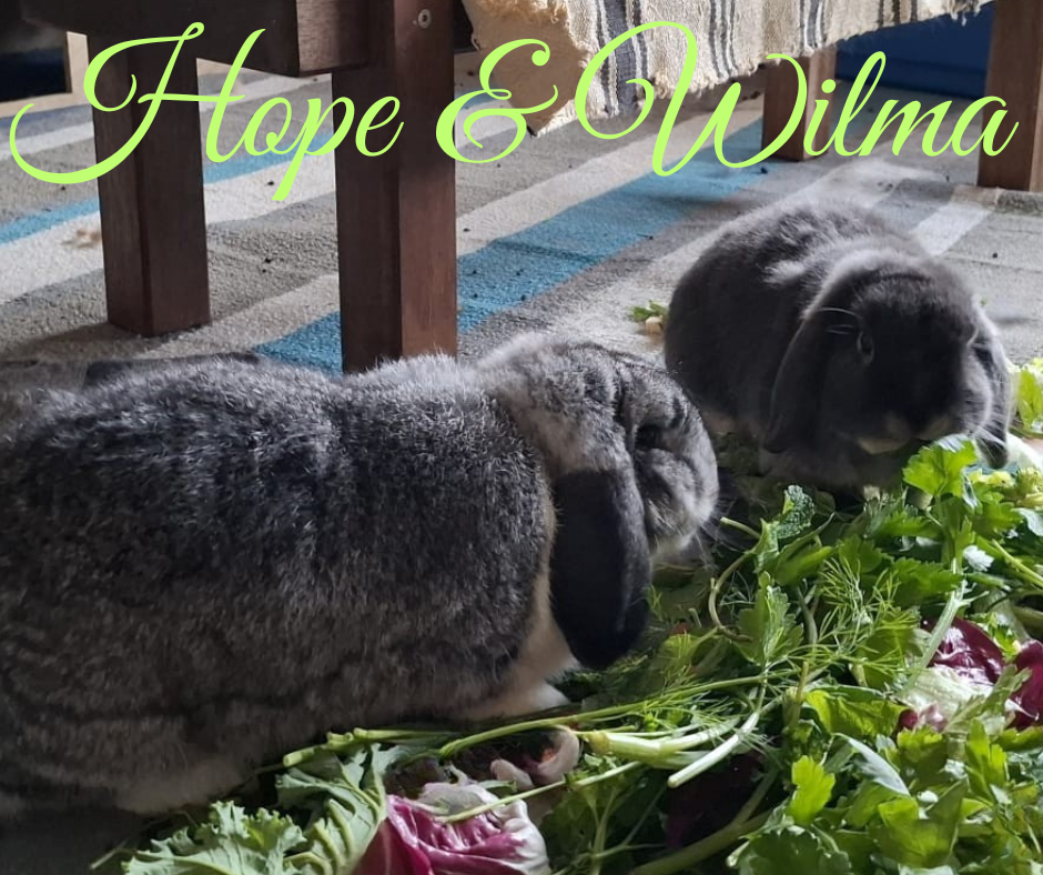 Wilma und Hope sind Freundinnen