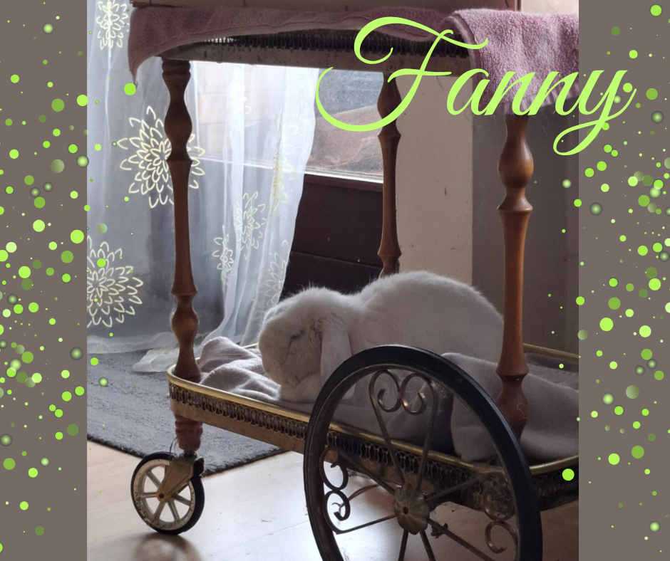 Fanny und ihr Servierwagen