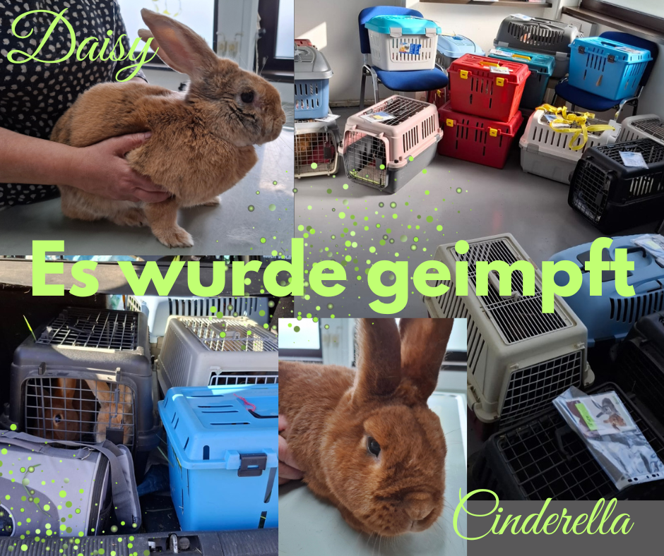 Alle sind wieder geimpft