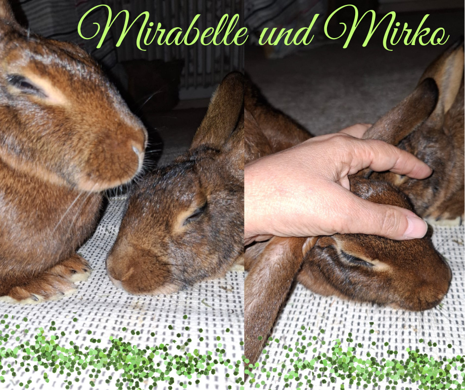 Update: Mirabelle und Mirko