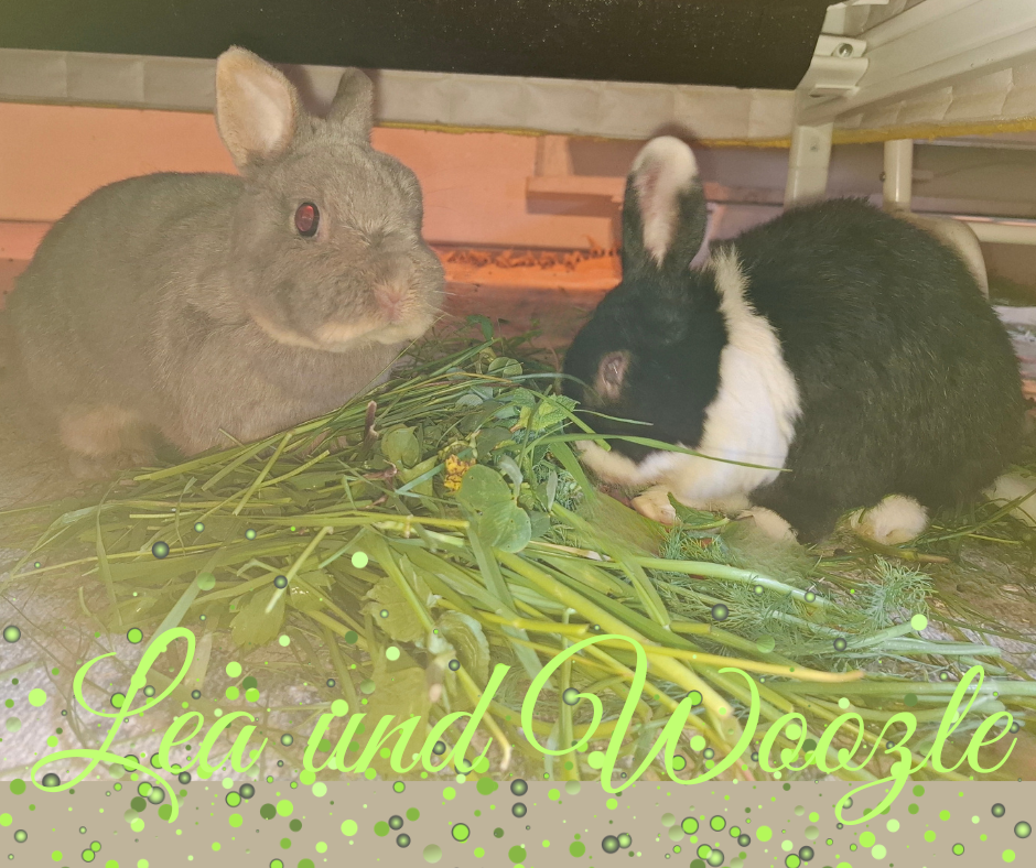 Update: Lea und Woozle