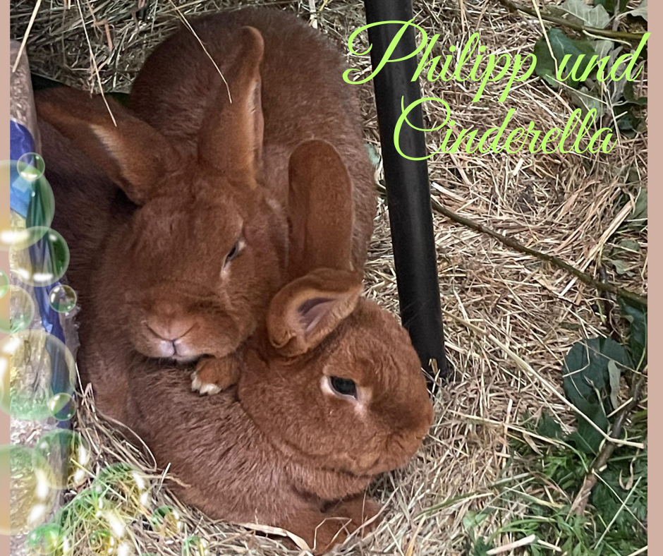 Philip und Cinderella