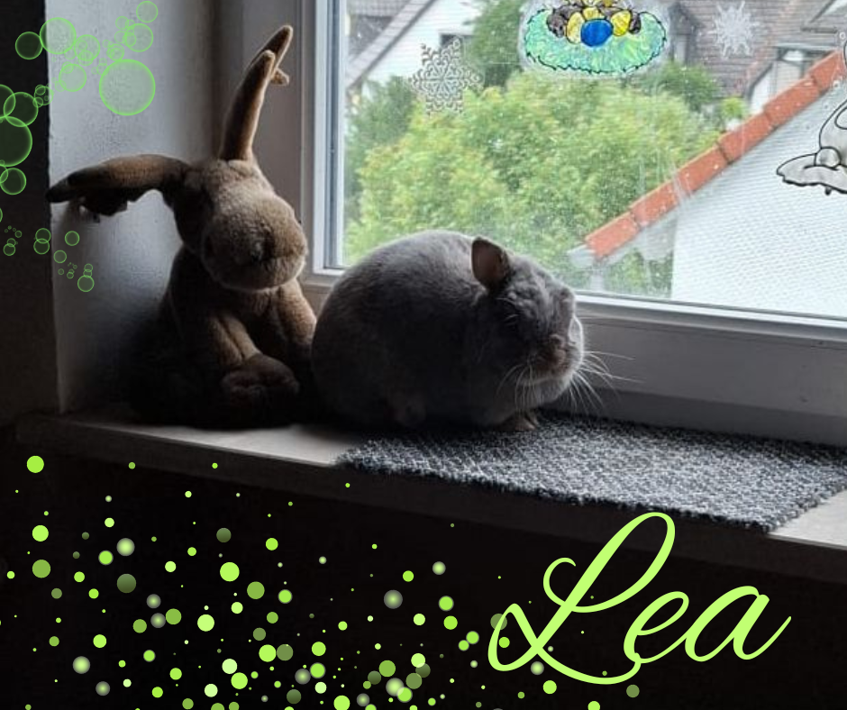 Lea auf dem Fensterbrett
