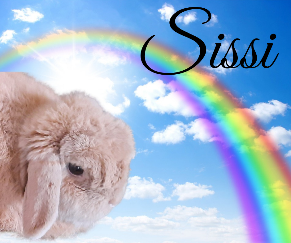 Verstorben: Sissi