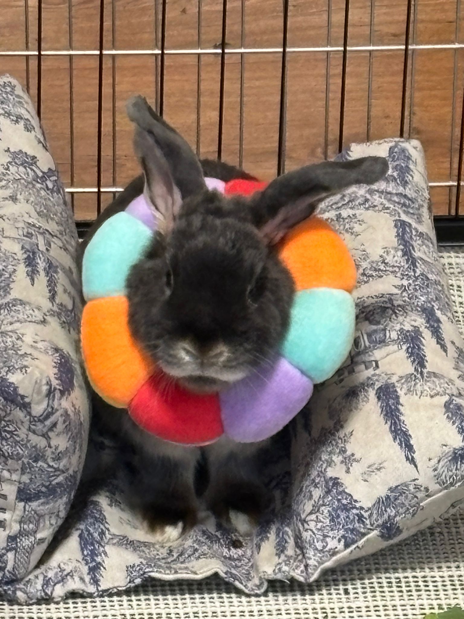 Wilma Update